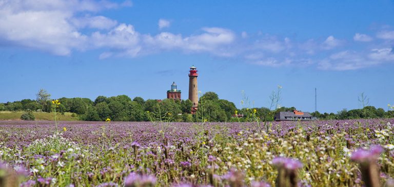 Die Leuchttürme am Kap Arkona