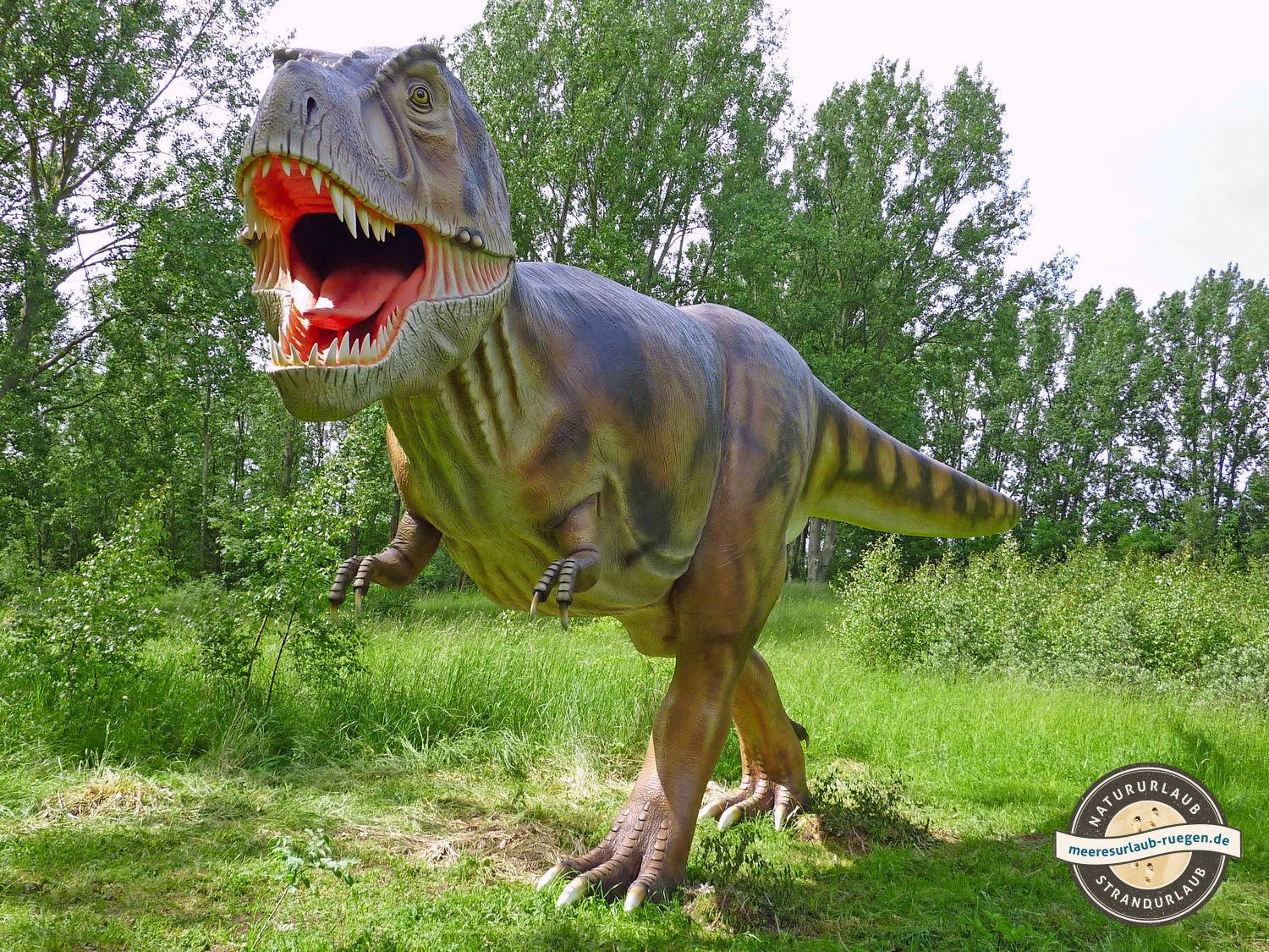 Ein T-Rex im Dionosaurier-Land Rügen
