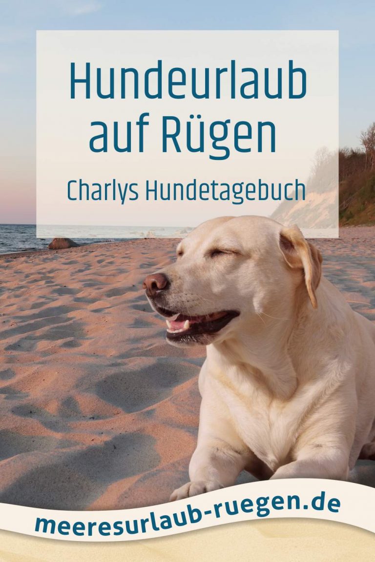 Rügen ist echt dufte – Urlaub mit Hund an der Ostsee