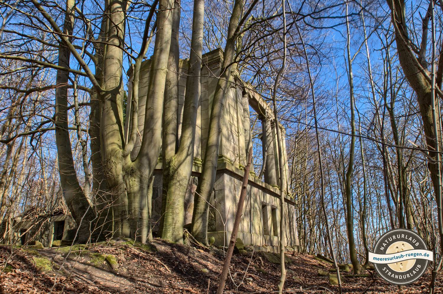 Die Ruine des Schlosses in Sassnitz / Dwasieden, Geheimste Fotospots