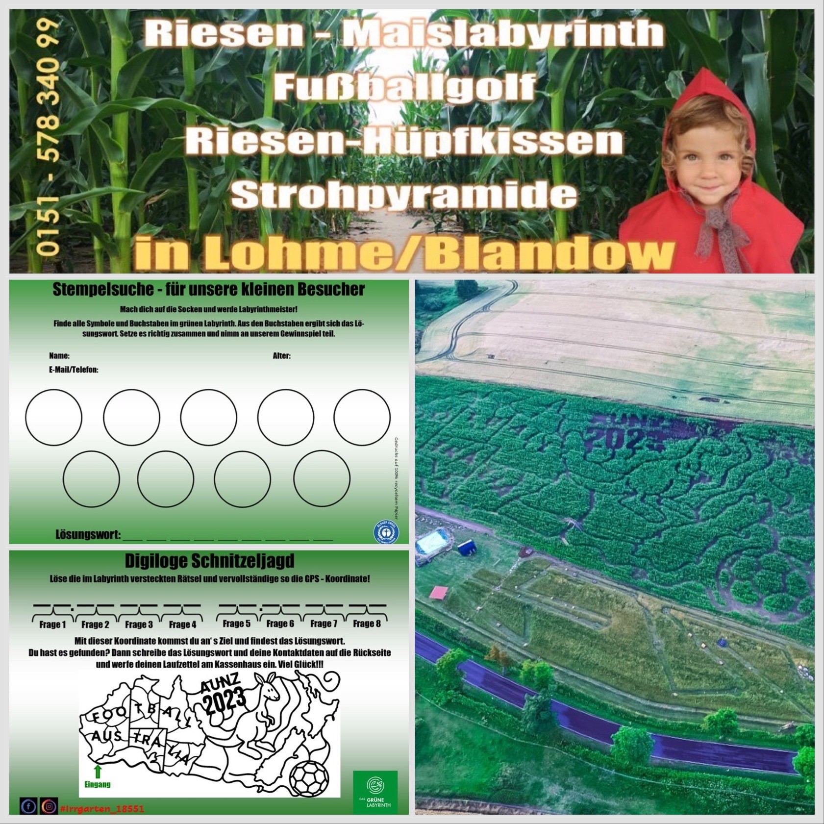 Maislabyrinth auf Rügen 2023