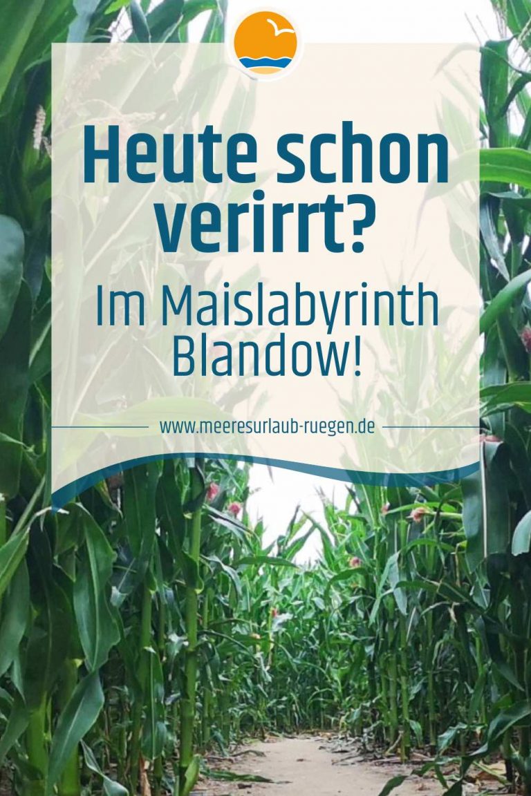 Maislabyrinth Blandow - Der Familienspaß auf der Insel Rügen