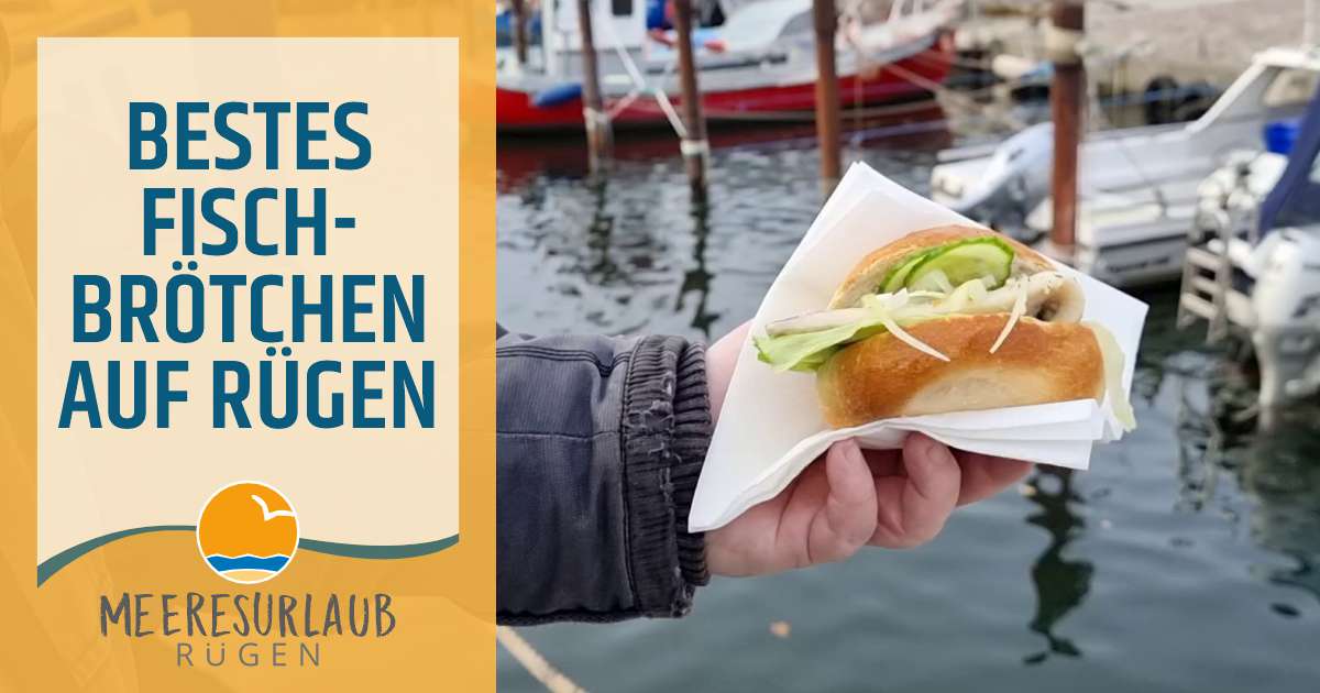 Beste Fischbrötchen auf Rügen Beste Fischbrötchen auf Rügen