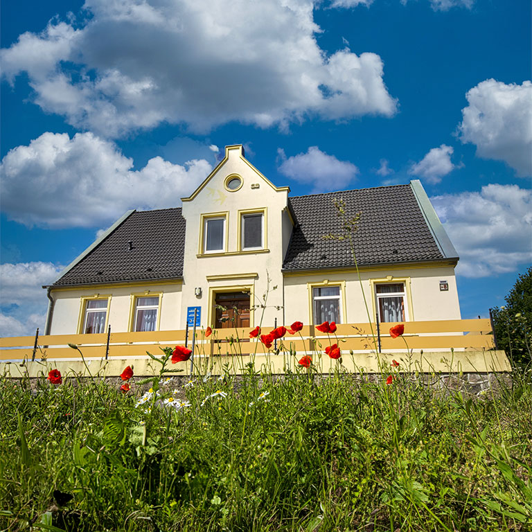 Das swalfenhus am Königsstuhl
