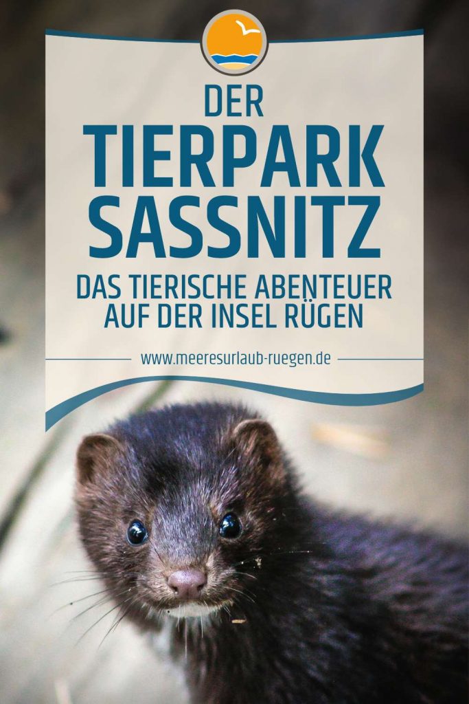 Der Tierpark Sassnitz - der neue Geheimtipp für Familien