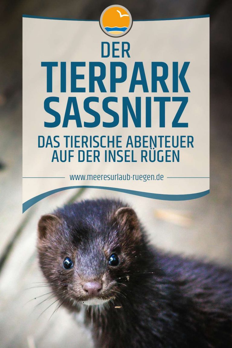 Der Tierpark Sassnitz - der neue Geheimtipp für Familien
