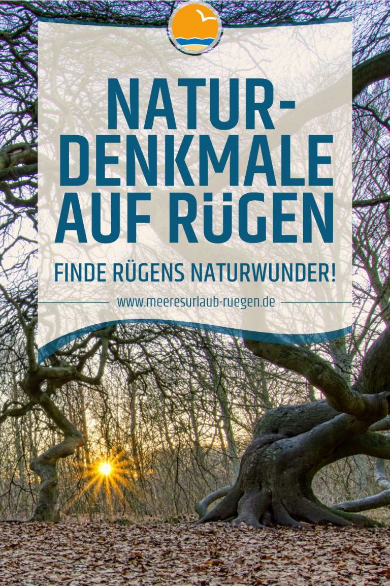 Naturdenkmale auf Rügen - Finde Rügens Naturwunder!