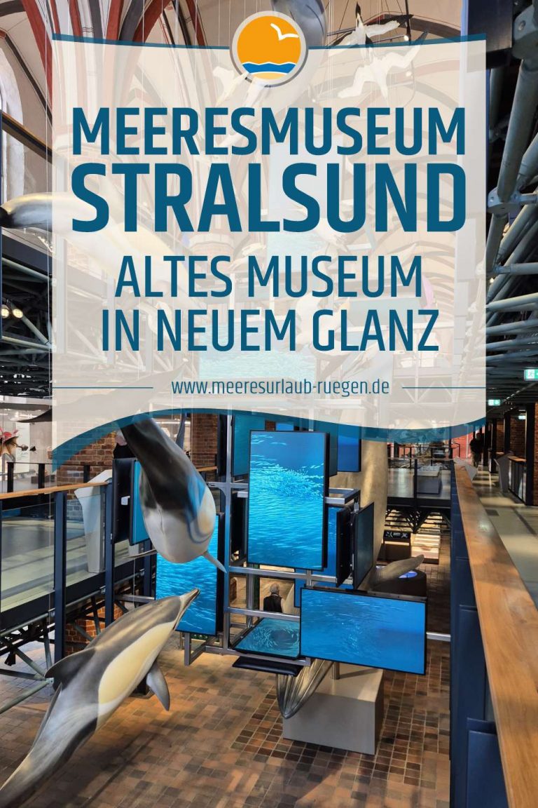 Das Meeresmuseum Stralsund - Altes Museum in neuem Glanz